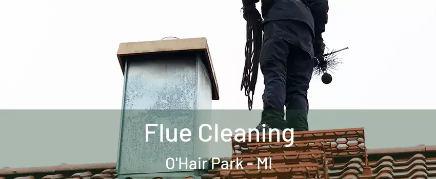 Flue Cleaning O'Hair Park - MI