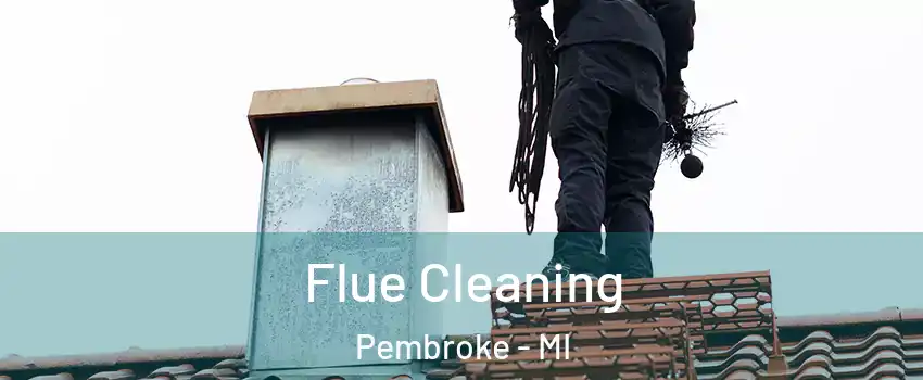 Flue Cleaning Pembroke - MI