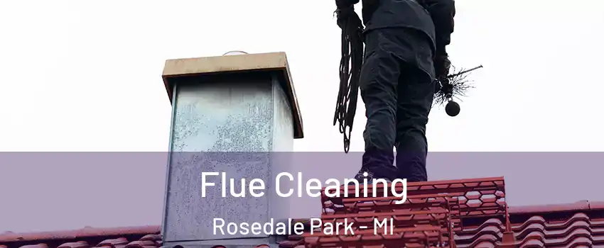 Flue Cleaning Rosedale Park - MI