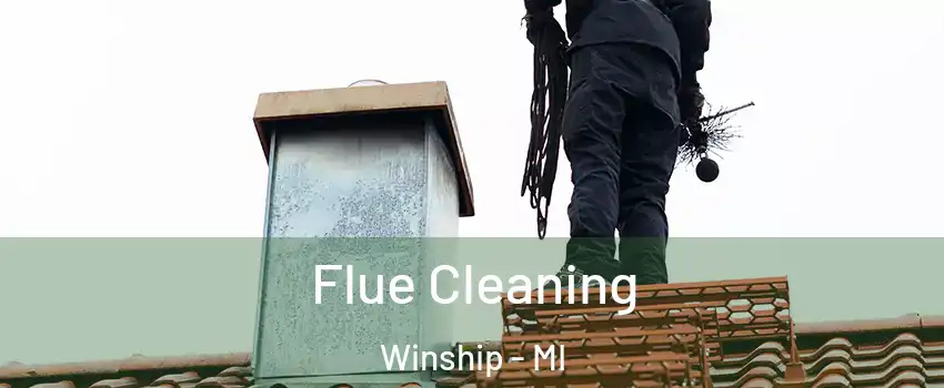 Flue Cleaning Winship - MI