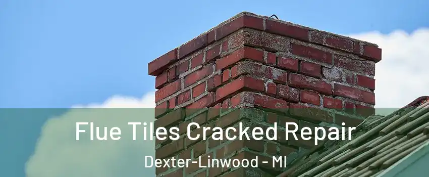 Flue Tiles Cracked Repair Dexter-Linwood - MI