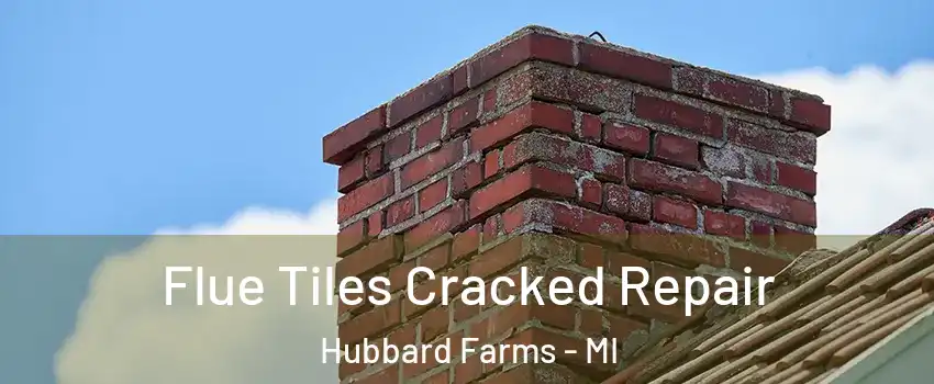 Flue Tiles Cracked Repair Hubbard Farms - MI