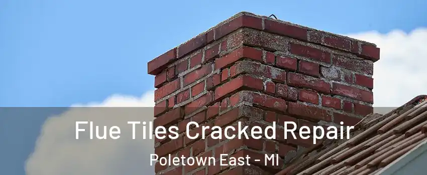 Flue Tiles Cracked Repair Poletown East - MI