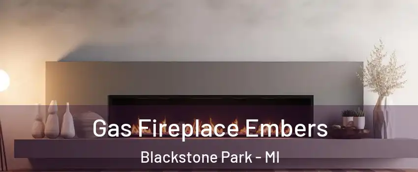 Gas Fireplace Embers Blackstone Park - MI