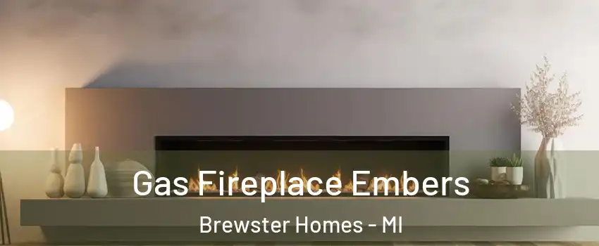 Gas Fireplace Embers Brewster Homes - MI