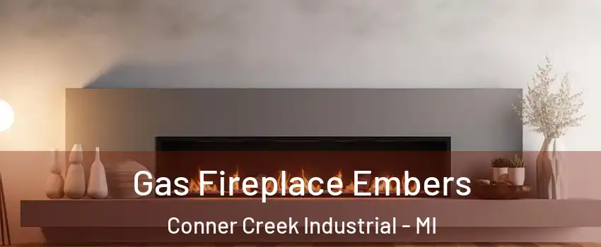 Gas Fireplace Embers Conner Creek Industrial - MI