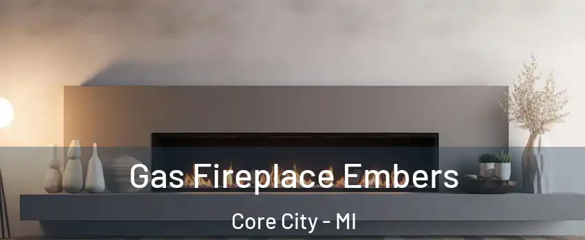 Gas Fireplace Embers Core City - MI