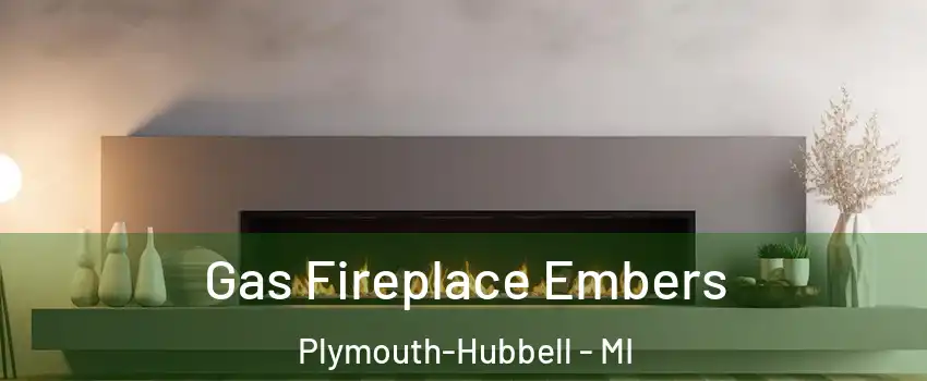 Gas Fireplace Embers Plymouth-Hubbell - MI