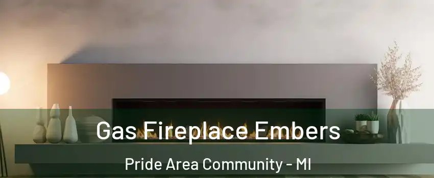 Gas Fireplace Embers Pride Area Community - MI