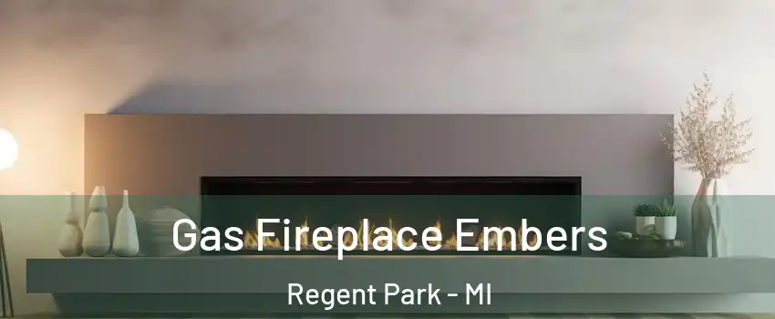 Gas Fireplace Embers Regent Park - MI