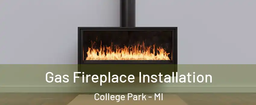 Gas Fireplace Installation College Park - MI