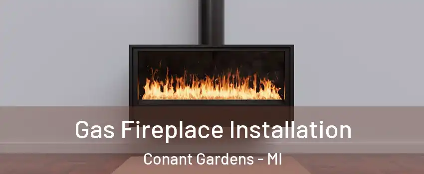 Gas Fireplace Installation Conant Gardens - MI