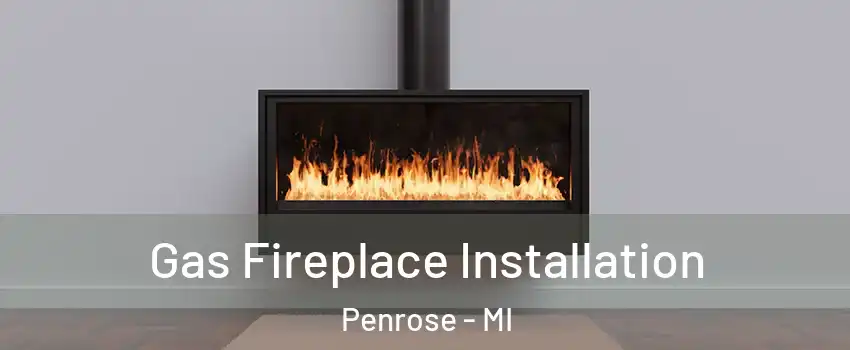 Gas Fireplace Installation Penrose - MI