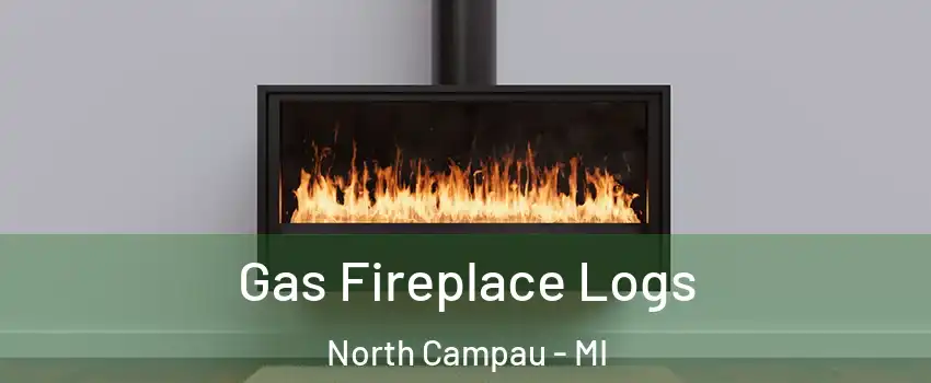 Gas Fireplace Logs North Campau - MI