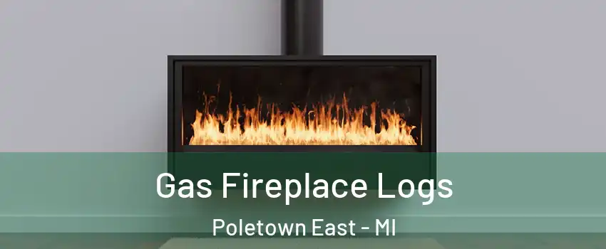 Gas Fireplace Logs Poletown East - MI