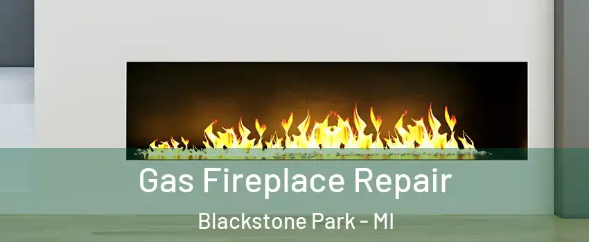 Gas Fireplace Repair Blackstone Park - MI