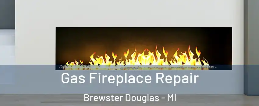 Gas Fireplace Repair Brewster Douglas - MI