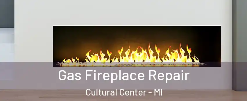 Gas Fireplace Repair Cultural Center - MI