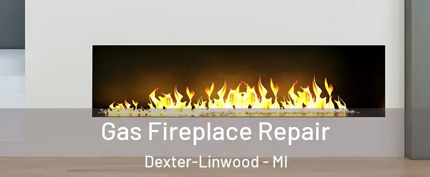 Gas Fireplace Repair Dexter-Linwood - MI