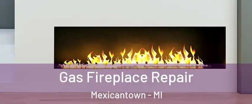 Gas Fireplace Repair Mexicantown - MI