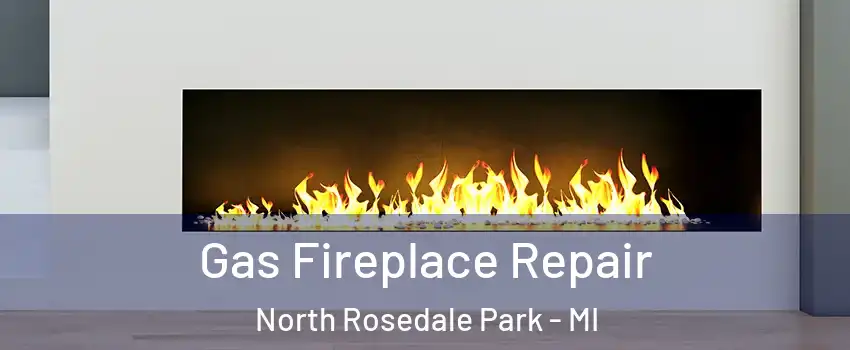 Gas Fireplace Repair North Rosedale Park - MI