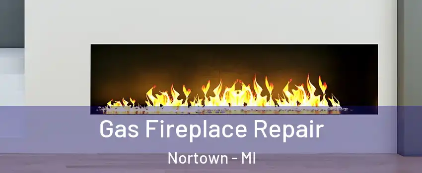 Gas Fireplace Repair Nortown - MI