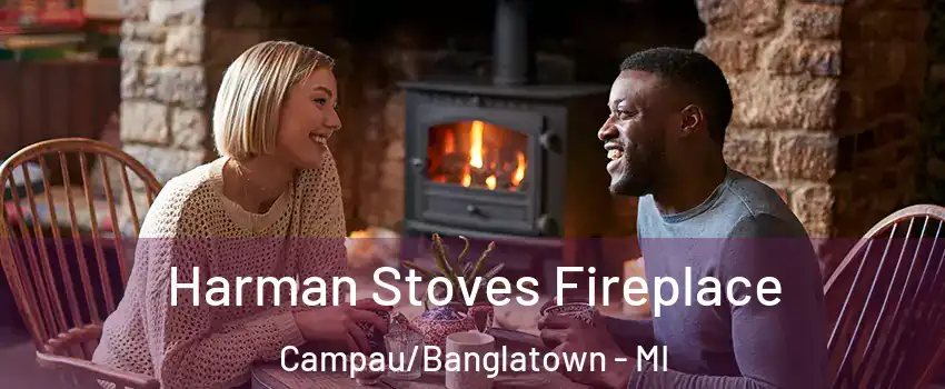 Harman Stoves Fireplace Campau/Banglatown - MI