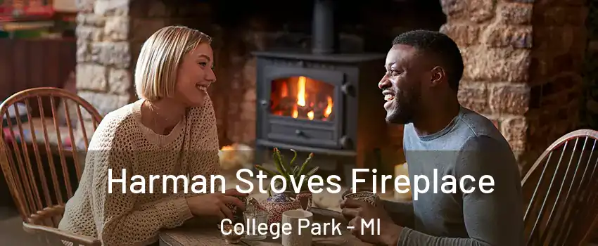 Harman Stoves Fireplace College Park - MI