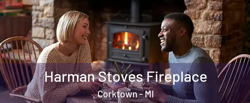 Harman Stoves Fireplace Corktown - MI