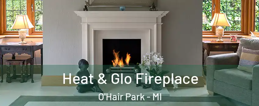 Heat & Glo Fireplace O'Hair Park - MI