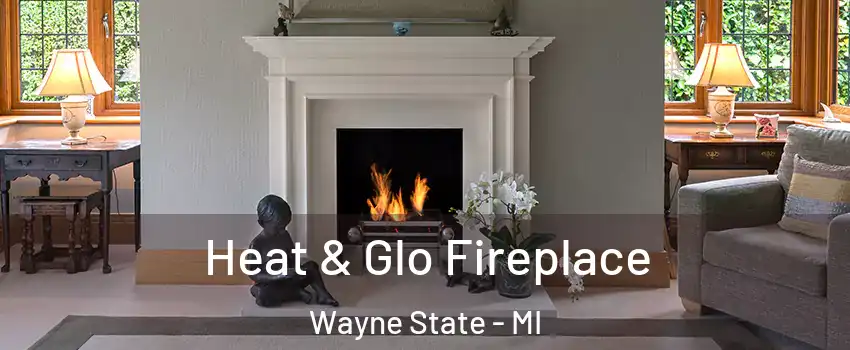 Heat & Glo Fireplace Wayne State - MI