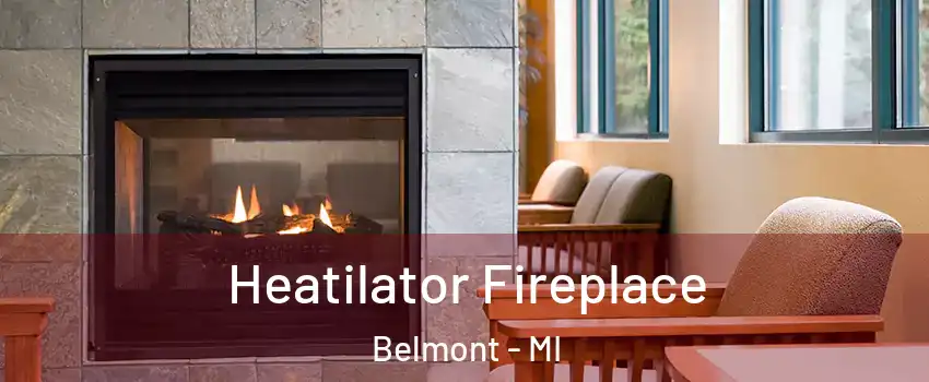 Heatilator Fireplace Belmont - MI