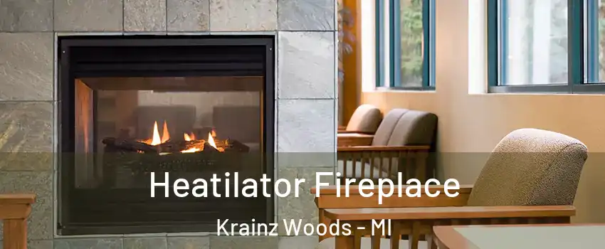 Heatilator Fireplace Krainz Woods - MI