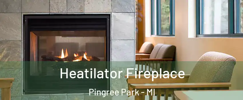 Heatilator Fireplace Pingree Park - MI