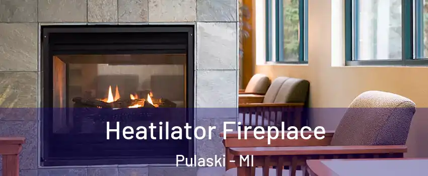 Heatilator Fireplace Pulaski - MI