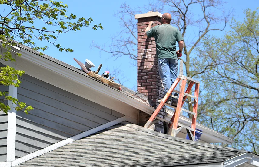 Chimney & Fireplace Inspections Services in Detroit, MI