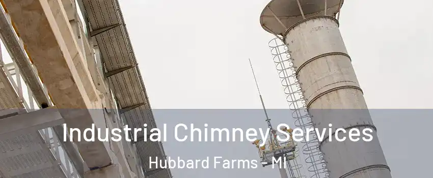 Industrial Chimney Services Hubbard Farms - MI