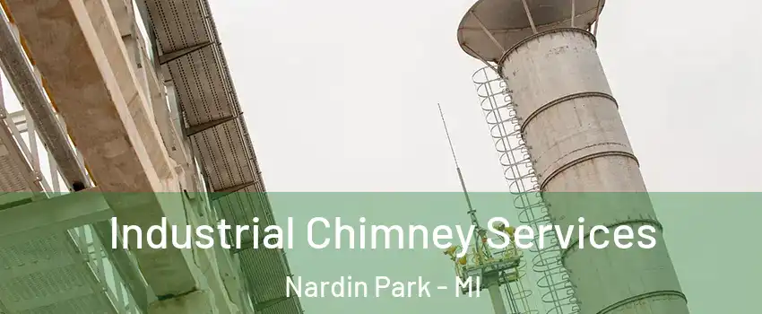 Industrial Chimney Services Nardin Park - MI