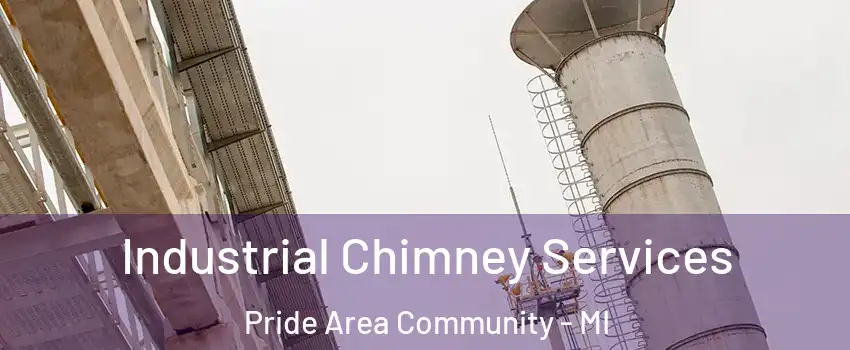 Industrial Chimney Services Pride Area Community - MI