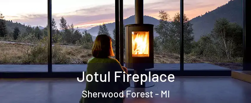 Jotul Fireplace Sherwood Forest - MI