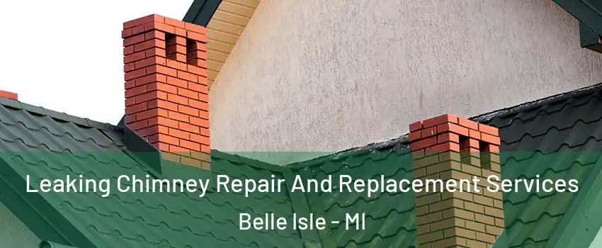 Leaking Chimney Repair And Replacement Services Belle Isle - MI