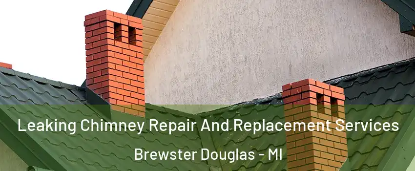 Leaking Chimney Repair And Replacement Services Brewster Douglas - MI