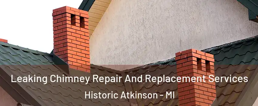 Leaking Chimney Repair And Replacement Services Historic Atkinson - MI