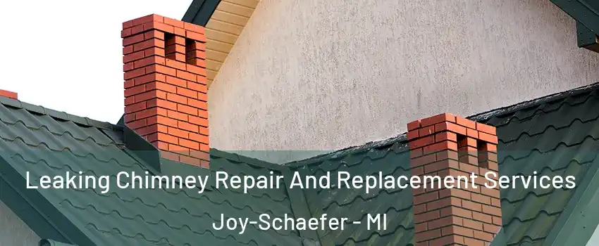 Leaking Chimney Repair And Replacement Services Joy-Schaefer - MI