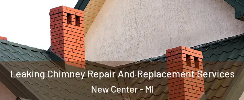 Leaking Chimney Repair And Replacement Services New Center - MI