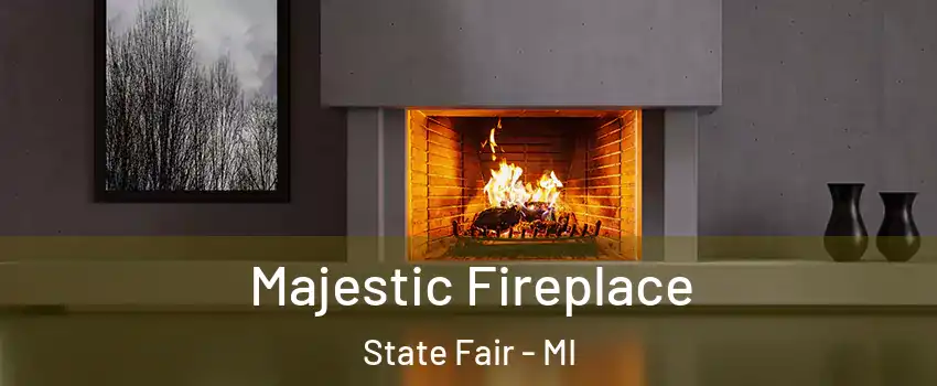 Majestic Fireplace State Fair - MI