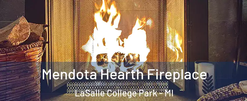 Mendota Hearth Fireplace LaSalle College Park - MI