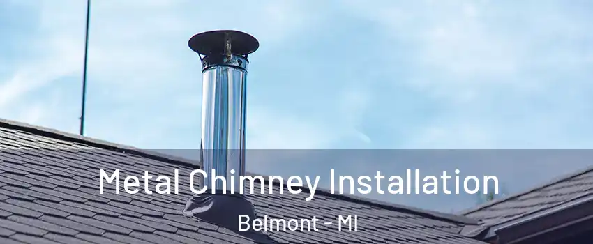 Metal Chimney Installation Belmont - MI