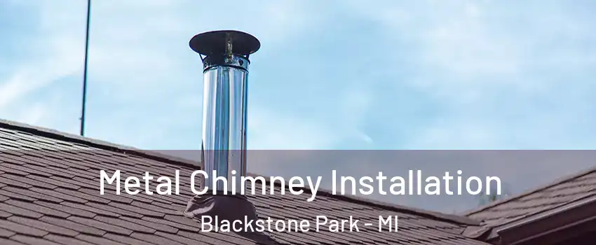 Metal Chimney Installation Blackstone Park - MI