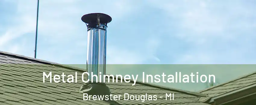 Metal Chimney Installation Brewster Douglas - MI